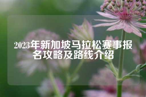 2023年新加坡马拉松赛事报名攻略及路线介绍