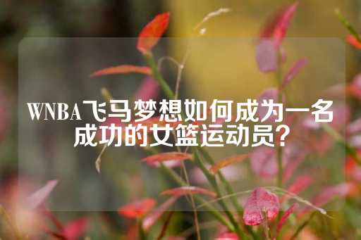 WNBA飞马梦想如何成为一名成功的女篮运动员？