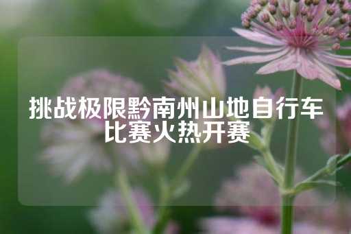 挑战极限黔南州山地自行车比赛火热开赛