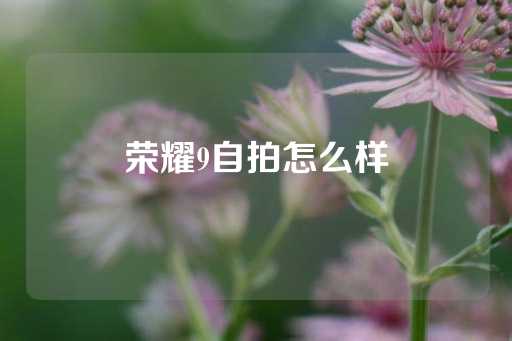 荣耀9自拍怎么样